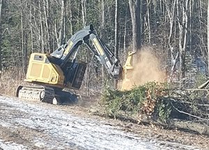 A-feller-buncher-cuts-at-tree-at-mile-30-in-January-2025.jpg