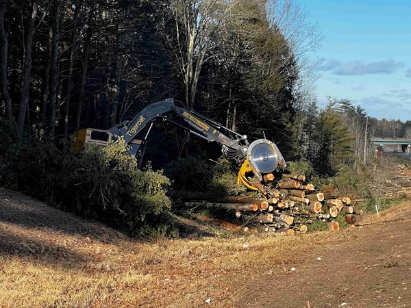 Photo of roadside clearing in Biddeford